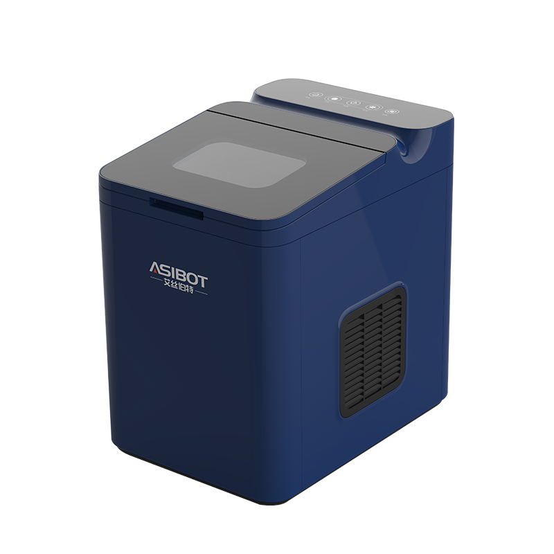 Ice maker